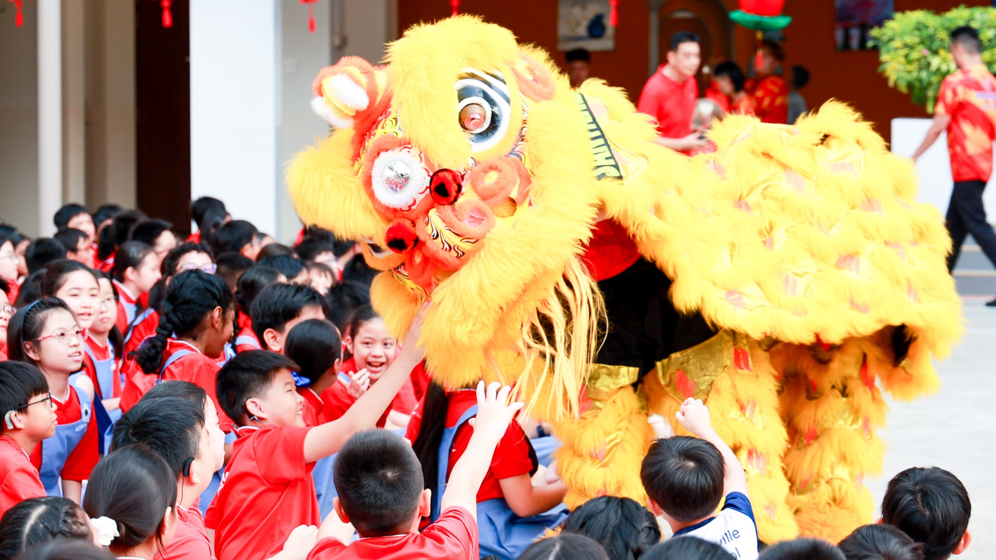 Chinese New Year Celebration